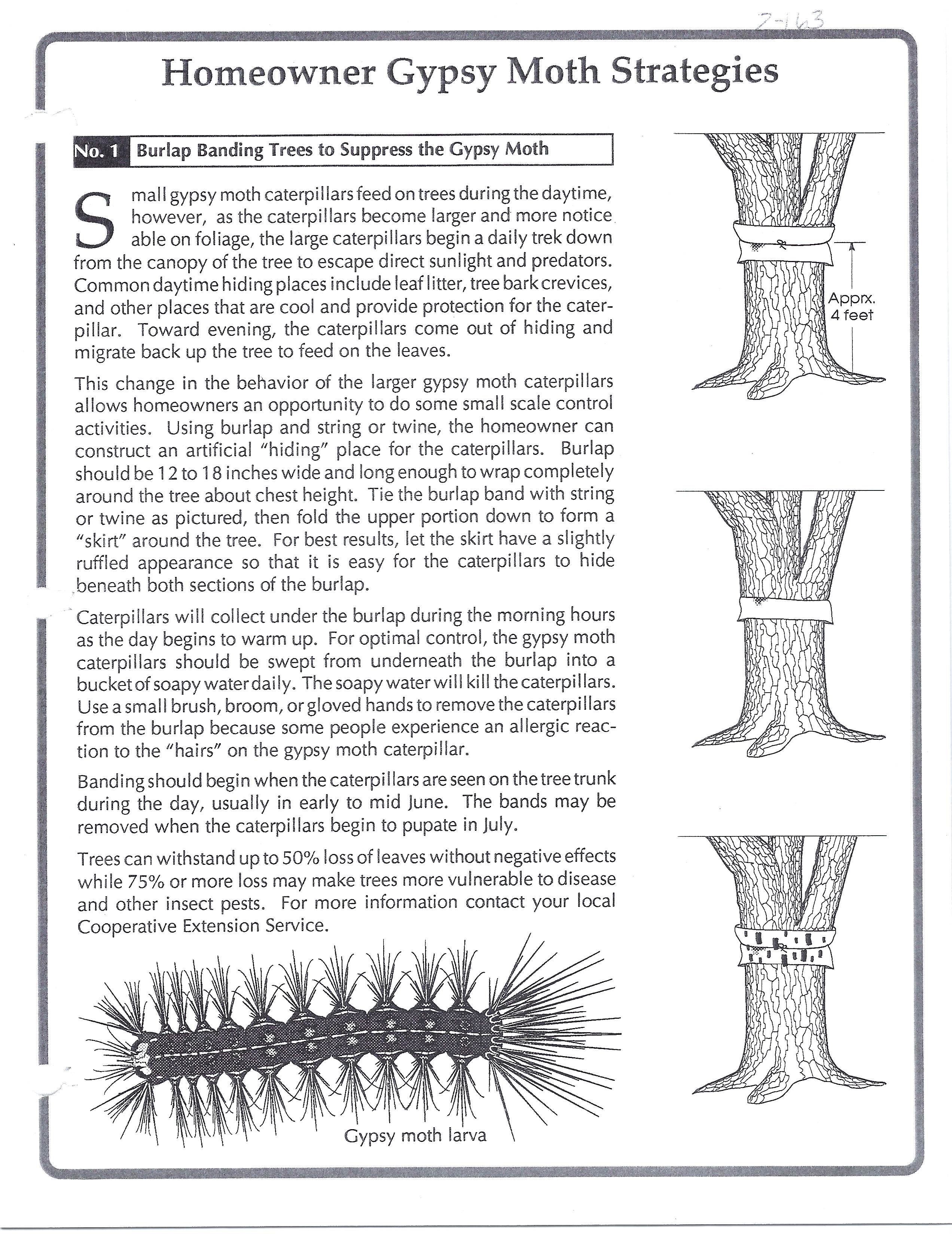 Info about controlling gypsy moth_Page_2